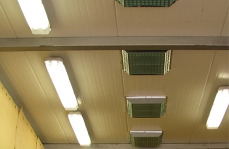 disa-blastroom-light